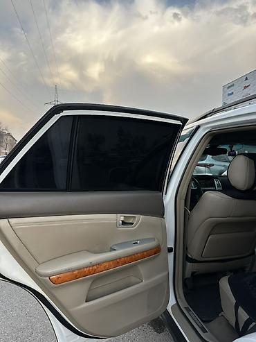 Lexus: Lexus RX: 2005 г., Бензин, Кроссовер — 12