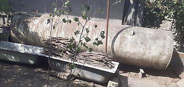 Baklar və çənlər: Bak, Metal, İşlənmiş, Ünvandan götürmə — 2