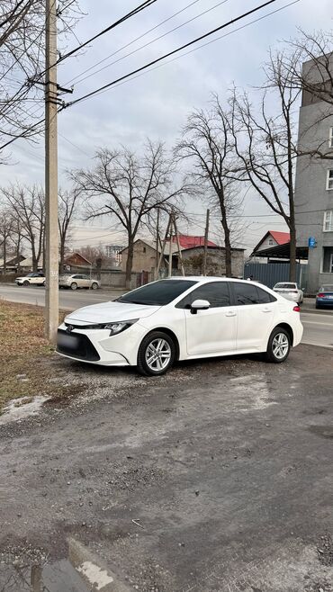 Toyota: Toyota Corolla: 2020 г., 1.2 л, Вариатор, Бензин, Седан