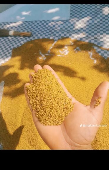 Bitki dərmanları: 7 illiy yocna tumu ter temizdir unvan neftcala