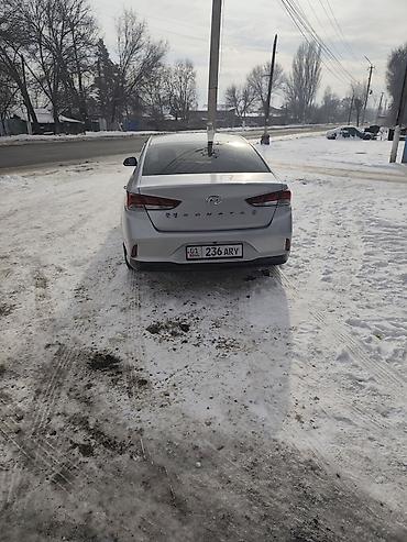 Hyundai: Hyundai Sonata: 2019 г., 2 л, Автомат, Газ, Седан — 2
