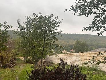 çuxuryurd ev satılır: 16 sot, Tikinti, Mülkiyyətçi, Kupça (Çıxarış) — 5
