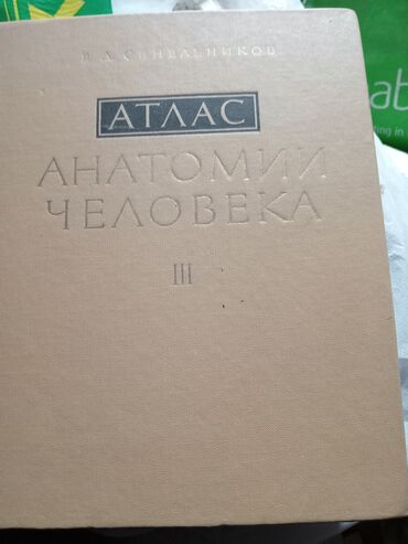 суусар тумак баасы бишкек: АНОТОМИЯ ЧЕЛОВЕКА