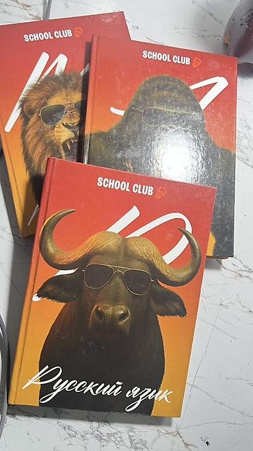 очка: Учебники “Русский язык” от SCHOOL CLUB - Серия: SCHOOL CLUB - Твердый — 1