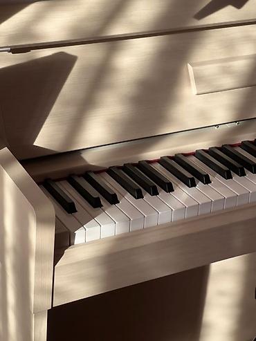 студен: 🎹 Приглашаю на занятия по фортепиано! Здравствуйте! я преподаватель — 1