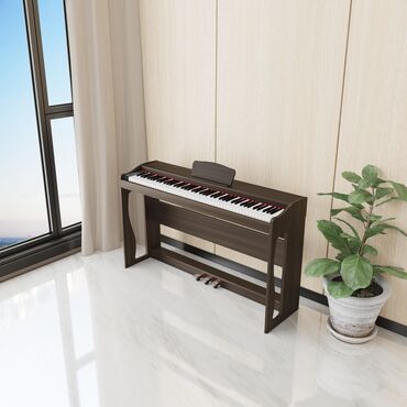 Pianolar: Piano, Rəqəmsal, Yeni, Ünvandan götürmə — 5