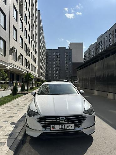 sonata dn: Hyundai Sonata: 2019 г., 2 л, Автомат, Газ, Седан — 1