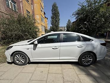 dn8 sonata: Hyundai Sonata: 2019 г., 2 л, Автомат, Бензин, Седан — 2