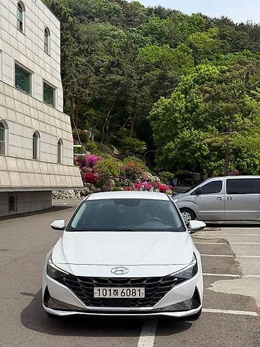 Продажа авто: Hyundai Avante: 2021 г., 1.6 л, Вариатор, Бензин, Седан — 1