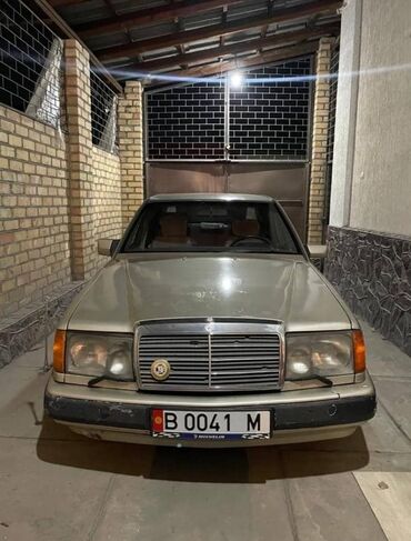 Mercedes-Benz: Mercedes-Benz W124: 1988 г., 2.3 л, Автомат, Бензин, Седан