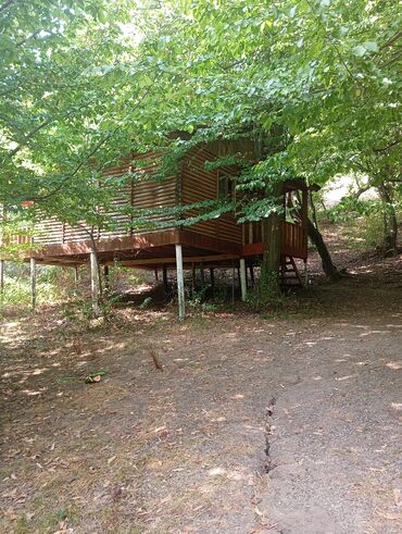 Uzunmüddətli kirayə evlər: 3000 kv. m, 3 otaqlı -da lalafo.az — 16 Uzunmüddətli kirayə evlər: 3000 kv. m, 3 otaqlı — 16