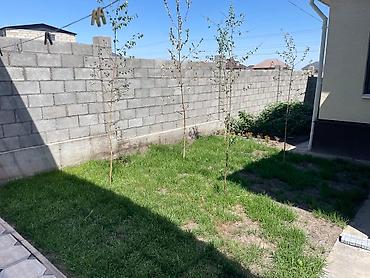 Продажа коттеджей и домов: Продаётся добротный дом в Ак-Ордо 2. Дом жилая 200,м.площадь участка — 26