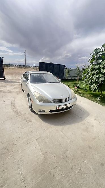 2 8: Lexus ES: 2003 г., 3 л, Автомат, Газ, Седан — 4