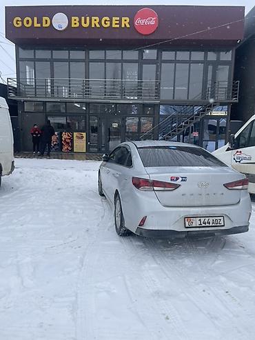 outback wilderness: Hyundai Sonata: 2020 г., 2 л, Автомат, Газ, Седан — 2