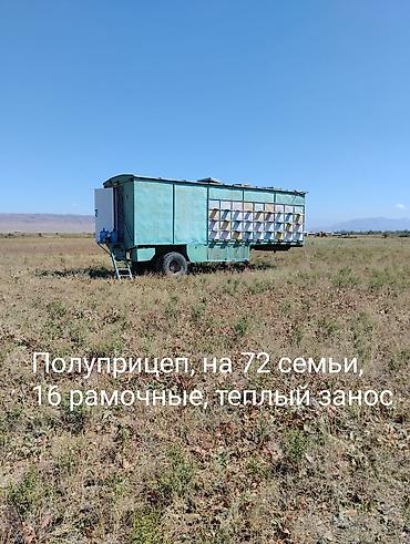 Товары и оборудование для с/х животных: Продаю: Пчеловагон ( цех по производству меда) на 72 семьи (полная — 1
