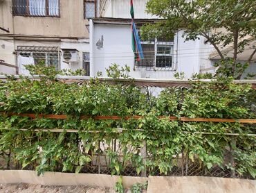 Köhnə tikili: Bakı, 4 otaqlı, Köhnə tikili, m. Əhmədli, 100 kv. m — 20