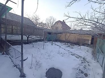 Долгосрочная аренда домов: 200 м², 6 комнат — 14