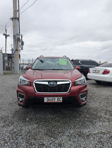 срочно продаю в связи с переездом: Subaru Forester: 2019 г., 2.5 л, Вариатор, Бензин, Кроссовер