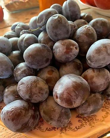 Удобрения и садовая химия: Удобрение Самовывоз — 17