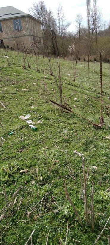 ismayillida satilan evler: 10 sot, Tikinti, Mülkiyyətçi, Kupça (Çıxarış)
