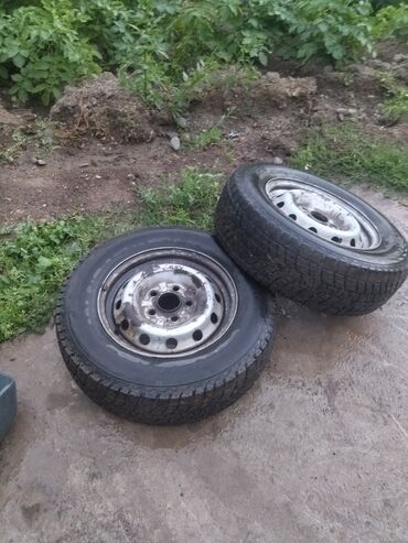 рулевая рейка passat b4: Дөңгөлөктөр монтажда R 14, Кыш, Колдонулган, Жуп, Жеңил унаалар, Темир