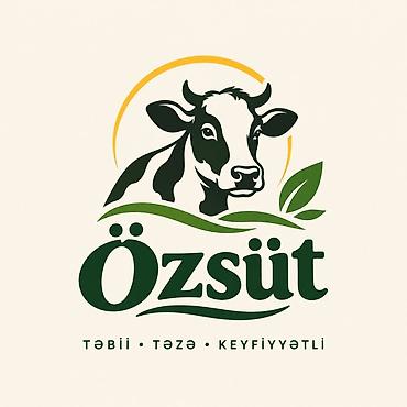 Qrafik dizaynerlər: Salam! Biznesiniz üçün kreativ, müasir və professional logo dizaynları — 1