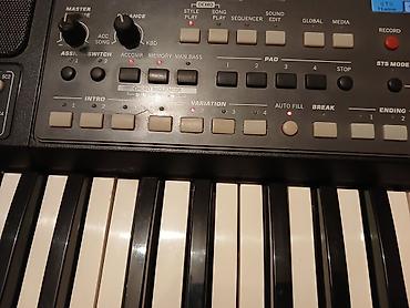 korq pa 80: Korg Pa600 aranjor klaviatura - 61 klaviş, dinamik həssaslıq - Rəngli — 5