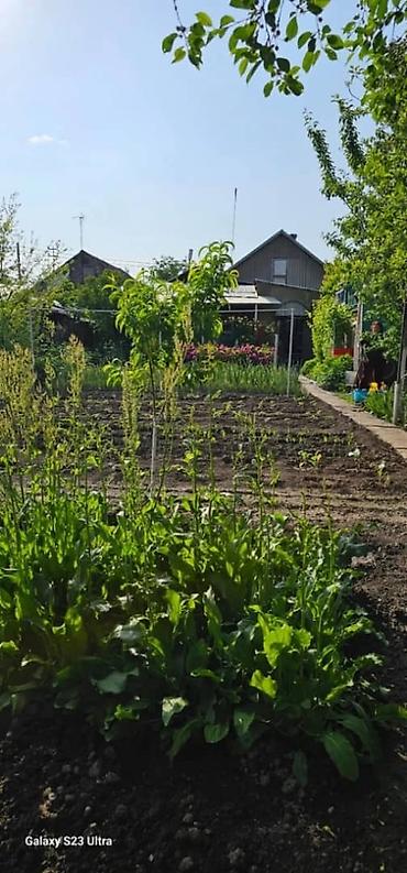 Продажа коттеджей и домов: Продаю дом район аламедин базар — 8