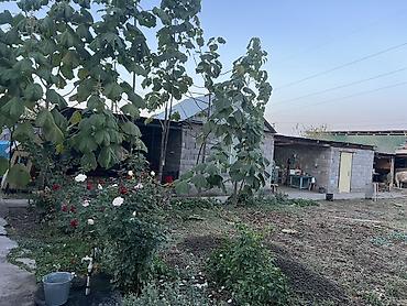 Продажа дачи: Продаётся дом с большим двором и хозяйственными постройками. - — 5