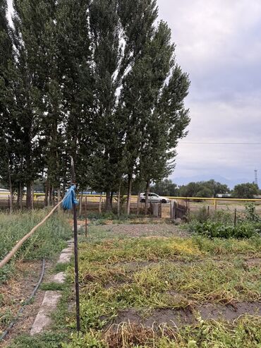 Продажа домов: Дом, 60 м², 4 комнаты, Собственник, Косметический ремонт — 12