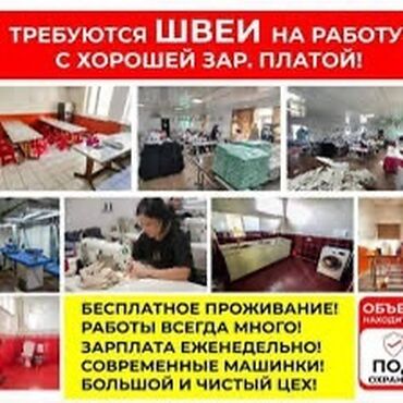 Швеи: Швея Прямострочка. Таатан ТЦ