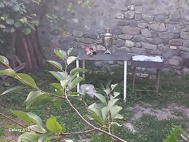 new house əmlak şirkəti: 4 kv. m, 5 otaqlı, Hovuzsuz, Artezian quyusu, İnternet, Telefon — 10