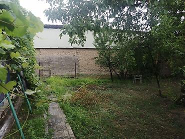 Продажа коттеджей и домов: Продаётся дом с двором и садом в Ошском районе, ул. Джим, 49. - — 12