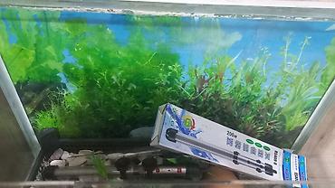 akvariumlar: Dördbucaq akvarium, Boş, 135 l, Ünvandan götürmə — 3