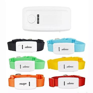 vrste bisona: Ogrlica za pse - gps lokator tk909. ogrlica za pse - gps lokator tk909 — 1