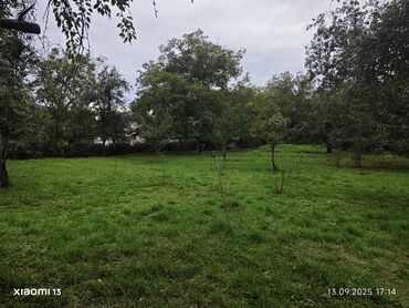 Həyət evləri və villaların satışı: 5 otaqlı, 200 kv. m, Kredit yoxdur — 17