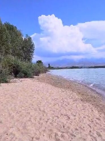 Продажа участков: 300 соток, Для строительства — 14