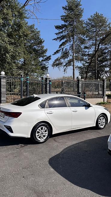 passat cc: Kia K3: 2019 г., 1.6 л, Автомат, Бензин, Седан — 4