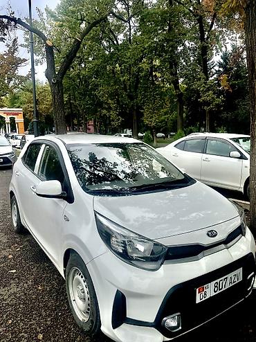 Kia Morning: 2021 г., 1 л, Автомат, Бензин, Хэтчбэк