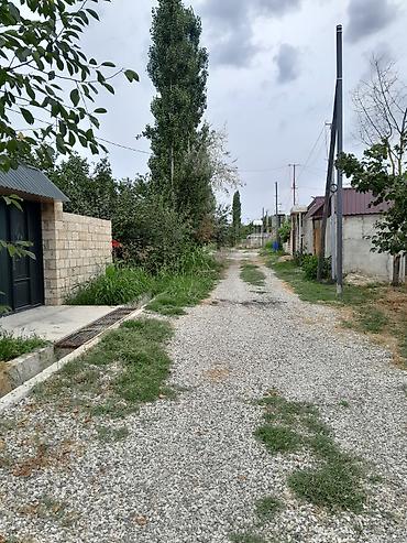 Torpaq sahələrinin satışı: Kənd təsərrüfatı — 2