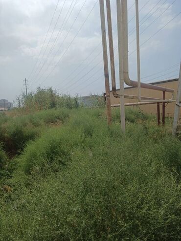 Torpaq sahələrinin satışı: 10 sot, Tikinti, Bələdiyyə — 10