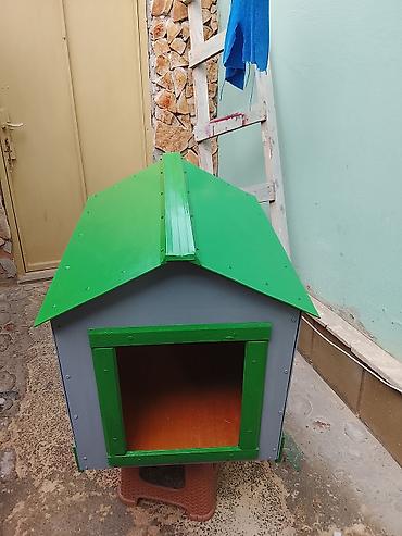 pudel mini: Orta boy itlər üçün uzn 70 eni isə 55 hündürlük 70 sm — 1
