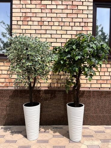 Декоративные цветы: Искусственные деревья — это идеальное решение для оформления интерьера at lalafo.kg — 20 Декоративные цветы: Искусственные деревья — это идеальное решение для оформления интерьера — 20