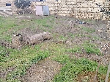 qubada torpaq satilir 2026: 2 sot, Tikinti, Mülkiyyətçi, Kupça (Çıxarış) — 2