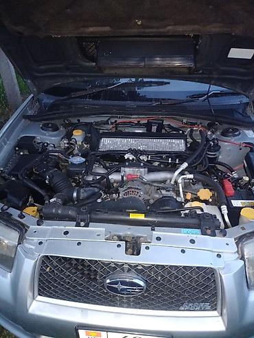 e klass: Subaru Forester: 2006 г., 2 л, Автомат, Газ, Кроссовер — 4