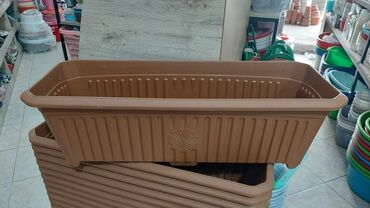 Bitkilər üçün dibçəklər: Dipçekler dipcek qablari dipcek aablar gul aabilar Gül qabilar ferqli -da lalafo.az — 19 Bitkilər üçün dibçəklər: Dipçekler dipcek qablari dipcek aablar gul aabilar Gül qabilar ferqli — 19