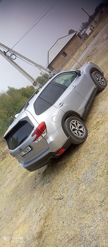 forester 2003: Subaru Forester: 2019 г., 2.5 л, Робот, Бензин, Кроссовер — 4