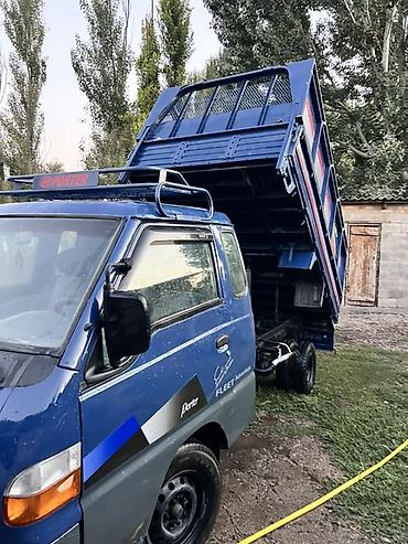 daf 2013: Hyundai Porter самосвал (компактный грузовик) - Тип: малотоннажный — 3