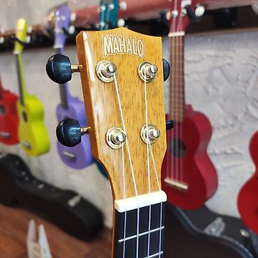 ukulele: Ukulele Mahalo MH2VNA Simlərin sayı: 4 Simlər:Aquila Super Nylgut — 2