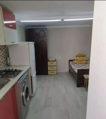 sevgi parki unvani: 45 kv. m, 1 otaqlı, Kombi, Qaz, İşıq
